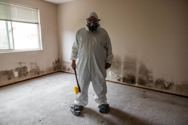 Best Biohazard Mold Removal  in Mountain Park, GA